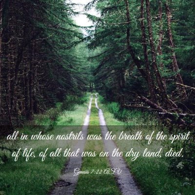 Picture 03 - Genesis 7:22 ASV - all in whose nostrils was the breath of the - Bible Verse Picture