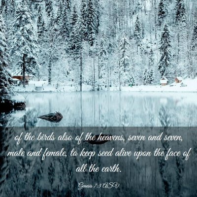 Picture 03 - Genesis 7:3 ASV - of the birds also of the heavens, seven and - Bible Verse Picture