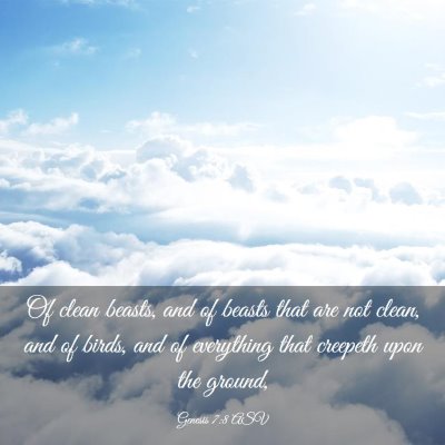 Picture 03 - Genesis 7:8 ASV - Of clean beasts, and of beasts that are not - Bible Verse Picture