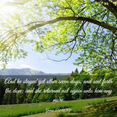 Picture 03 - Genesis 8:12 ASV - And he stayed yet other seven days, and sent - Bible Verse Picture