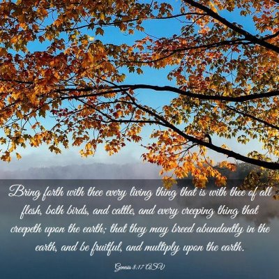 Picture 03 - Genesis 8:17 ASV - Bring forth with thee every living thing that is - Bible Verse Picture