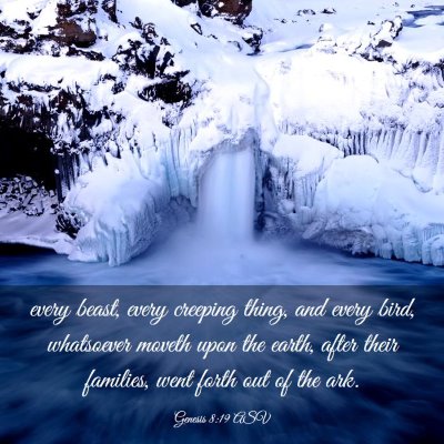 Picture 03 - Genesis 8:19 ASV - every beast, every creeping thing, and every - Bible Verse Picture
