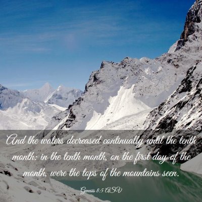 Picture 03 - Genesis 8:5 ASV - And the waters decreased continually until the - Bible Verse Picture