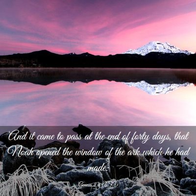 Picture 03 - Genesis 8:6 ASV - And it came to pass at the end of forty days, - Bible Verse Picture