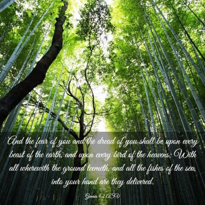 Picture 03 - Genesis 9:2 ASV - And the fear of you and the dread of you shall be - Bible Verse Picture