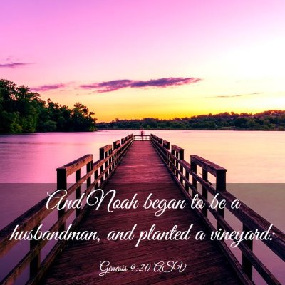 Picture 03 - Genesis 9:20 ASV - And Noah began to be a husbandman, and planted a - Bible Verse Picture