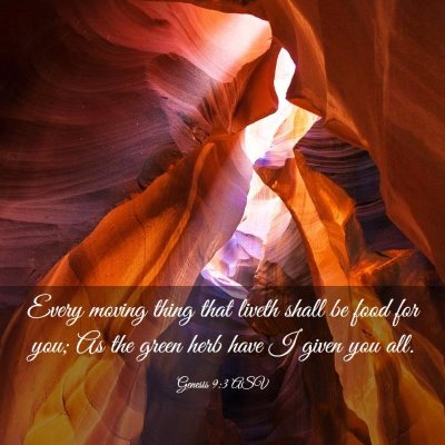 Picture 03 - Genesis 9:3 ASV - Every moving thing that liveth shall be food for - Bible Verse Picture