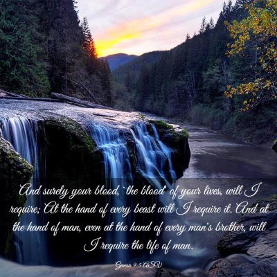 Picture 03 - Genesis 9:5 ASV - And surely your blood, `the blood' of your lives, - Bible Verse Picture