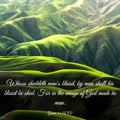 Picture 03 - Genesis 9:6 ASV - Whoso sheddeth man's blood, by man shall his - Bible Verse Picture