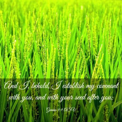 Picture 03 - Genesis 9:9 ASV - And I, behold, I establish my covenant with you, - Bible Verse Picture