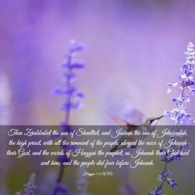Picture 03 - Haggai 1:12 ASV - Then Zerubbabel the son of Shealtiel, and Joshua - Bible Verse Picture