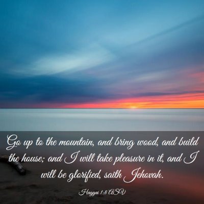 Picture 03 - Haggai 1:8 ASV - Go up to the mountain, and bring wood, and build - Bible Verse Picture