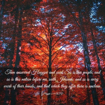 Picture 03 - Haggai 2:14 ASV - Then answered Haggai and said, So is this people, - Bible Verse Picture