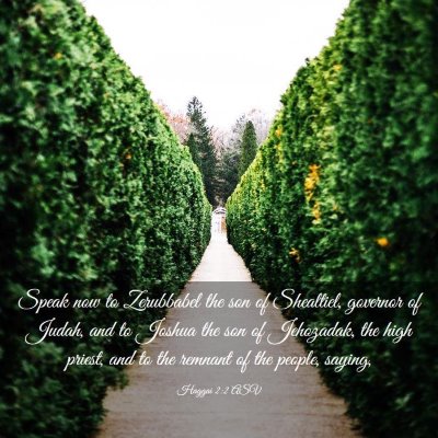 Picture 03 - Haggai 2:2 ASV - Speak now to Zerubbabel the son of Shealtiel, - Bible Verse Picture