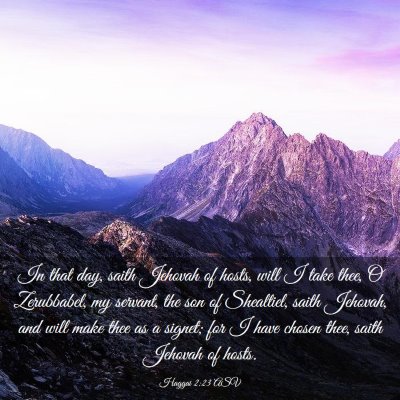 Picture 03 - Haggai 2:23 ASV - In that day, saith Jehovah of hosts, will I take - Bible Verse Picture