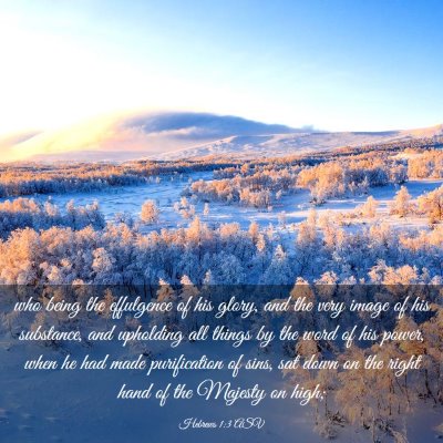 Picture 03 - Hebrews 1:3 ASV - who being the effulgence of his glory, and the - Bible Verse Picture