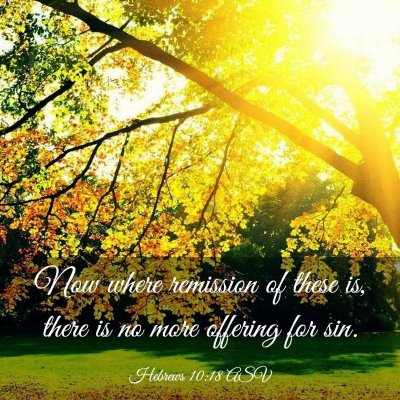 Picture 03 - Hebrews 10:18 ASV - Now where remission of these is, there is no more - Bible Verse Picture