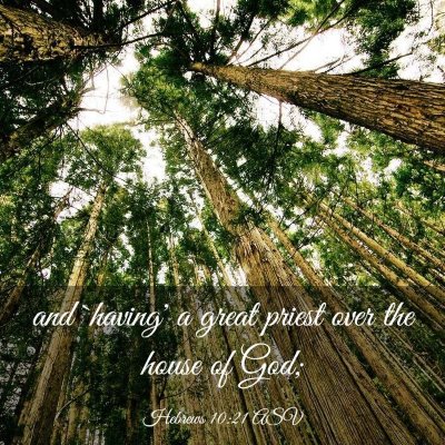 Picture 03 - Hebrews 10:21 ASV - and `having' a great priest over the house of - Bible Verse Picture