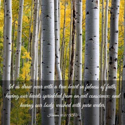 Picture 03 - Hebrews 10:22 ASV - let us draw near with a true heart in fulness of - Bible Verse Picture