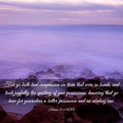 Picture 03 - Hebrews 10:34 ASV - For ye both had compassion on them that were in - Bible Verse Picture