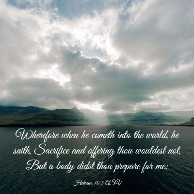 Picture 03 - Hebrews 10:5 ASV - Wherefore when he cometh into the world, he - Bible Verse Picture