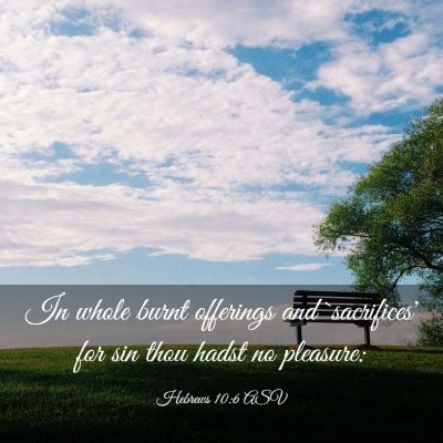 Picture 03 - Hebrews 10:6 ASV - In whole burnt offerings and `sacrifices' for sin - Bible Verse Picture
