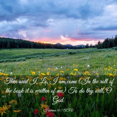 Picture 03 - Hebrews 10:7 ASV - Then said I, Lo, I am come (In the roll of the - Bible Verse Picture