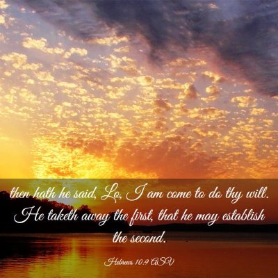 Picture 03 - Hebrews 10:9 ASV - then hath he said, Lo, I am come to do thy will. - Bible Verse Picture