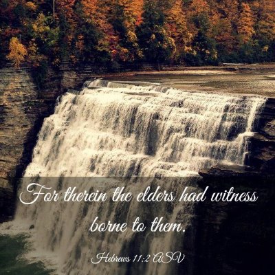 Picture 03 - Hebrews 11:2 ASV - For therein the elders had witness borne to - Bible Verse Picture