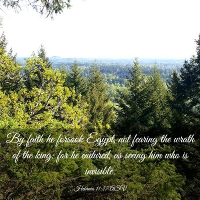 Picture 03 - Hebrews 11:27 ASV - By faith he forsook Egypt, not fearing the wrath - Bible Verse Picture