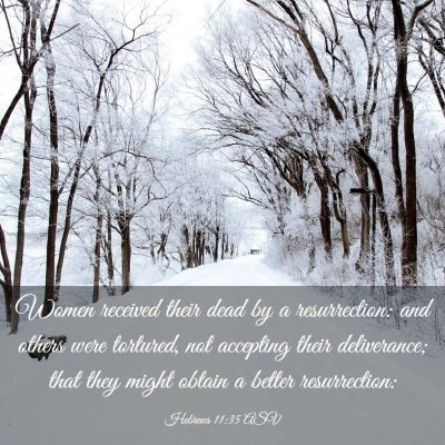Picture 03 - Hebrews 11:35 ASV - Women received their dead by a resurrection: and - Bible Verse Picture