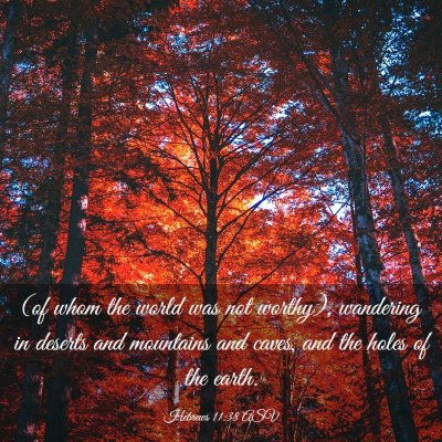 Picture 03 - Hebrews 11:38 ASV - (of whom the world was not worthy), wandering in - Bible Verse Picture