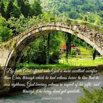 Picture 03 - Hebrews 11:4 ASV - By faith Abel offered unto God a more excellent - Bible Verse Picture