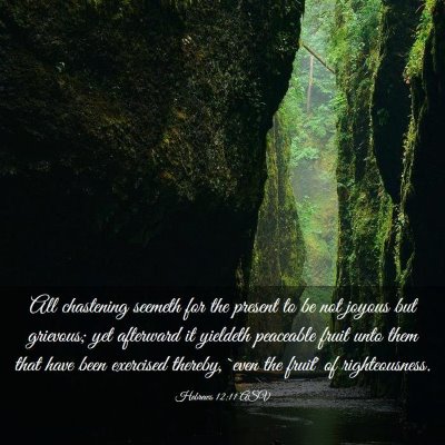 Picture 03 - Hebrews 12:11 ASV - All chastening seemeth for the present to be not - Bible Verse Picture
