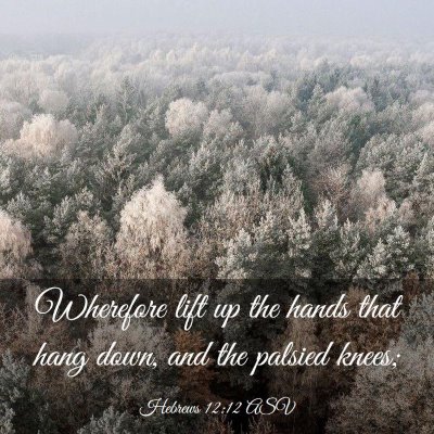Picture 03 - Hebrews 12:12 ASV - Wherefore lift up the hands that hang down, and - Bible Verse Picture
