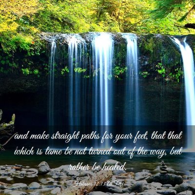 Picture 03 - Hebrews 12:13 ASV - and make straight paths for your feet, that that - Bible Verse Picture