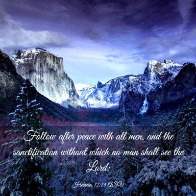 Picture 03 - Hebrews 12:14 ASV - Follow after peace with all men, and the - Bible Verse Picture