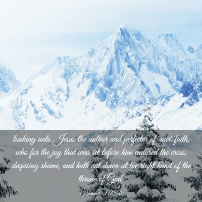 Picture 03 - Hebrews 12:2 ASV - looking unto Jesus the author and perfecter of - Bible Verse Picture