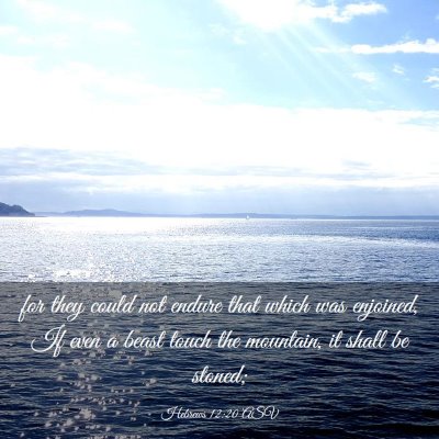 Picture 03 - Hebrews 12:20 ASV - for they could not endure that which was - Bible Verse Picture