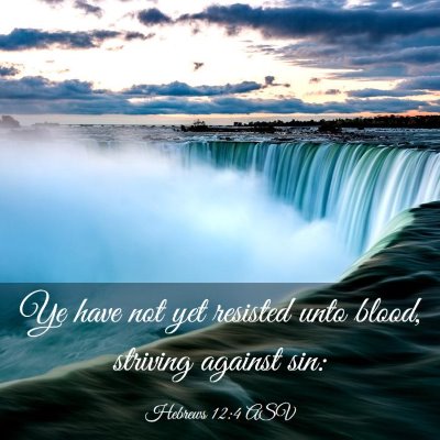 Picture 03 - Hebrews 12:4 ASV - Ye have not yet resisted unto blood, striving - Bible Verse Picture