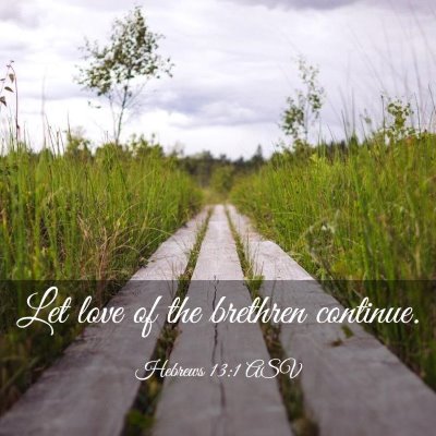 Picture 03 - Hebrews 13:1 ASV - Let love of the brethren - Bible Verse Picture