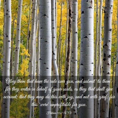 Picture 03 - Hebrews 13:17 ASV - Obey them that have the rule over you, and submit - Bible Verse Picture