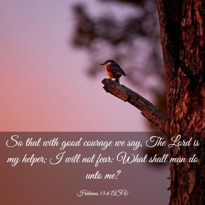 Picture 03 - Hebrews 13:6 ASV - So that with good courage we say, The Lord is my - Bible Verse Picture