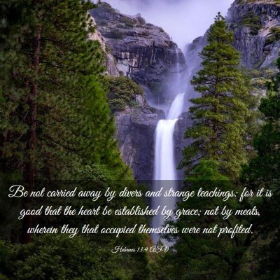 Picture 03 - Hebrews 13:9 ASV - Be not carried away by divers and strange - Bible Verse Picture