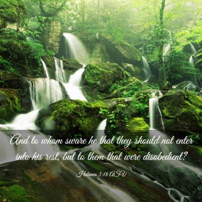 Picture 03 - Hebrews 3:18 ASV - And to whom sware he that they should not enter - Bible Verse Picture