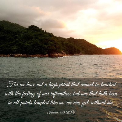 Picture 03 - Hebrews 4:15 ASV - For we have not a high priest that cannot be - Bible Verse Picture