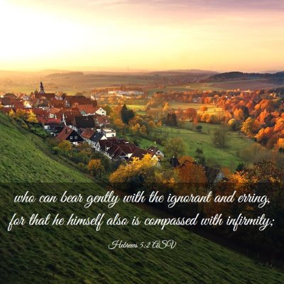 Picture 03 - Hebrews 5:2 ASV - who can bear gently with the ignorant and erring, - Bible Verse Picture