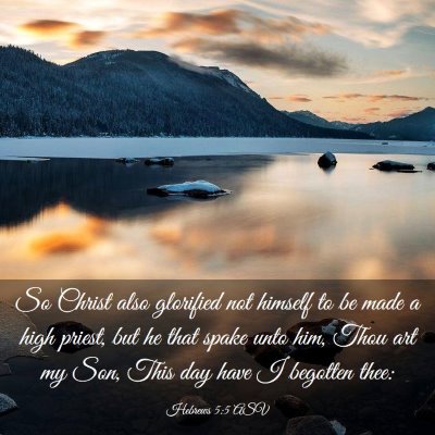 Picture 03 - Hebrews 5:5 ASV - So Christ also glorified not himself to be made a - Bible Verse Picture