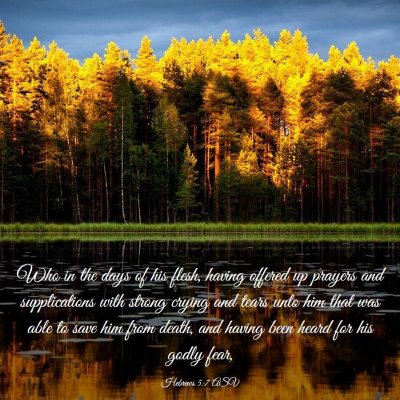 Picture 03 - Hebrews 5:7 ASV - Who in the days of his flesh, having offered up - Bible Verse Picture