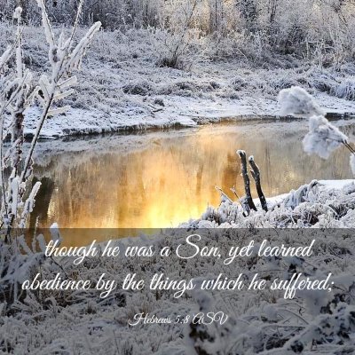 Picture 03 - Hebrews 5:8 ASV - though he was a Son, yet learned obedience by the - Bible Verse Picture